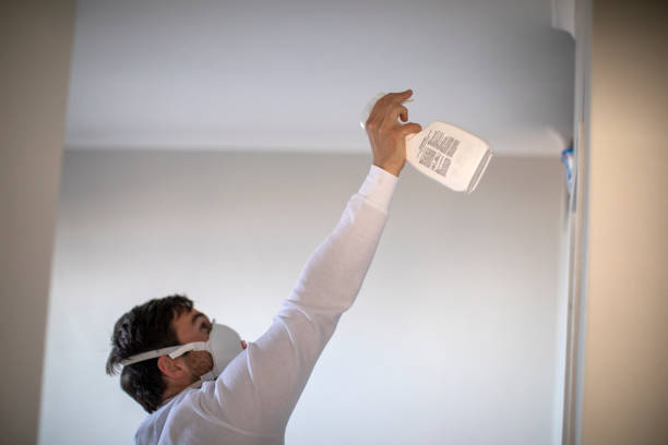 Best Mold Remediation Experts  in Green, OH